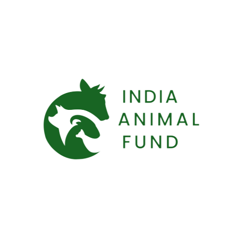 India Animal Fund